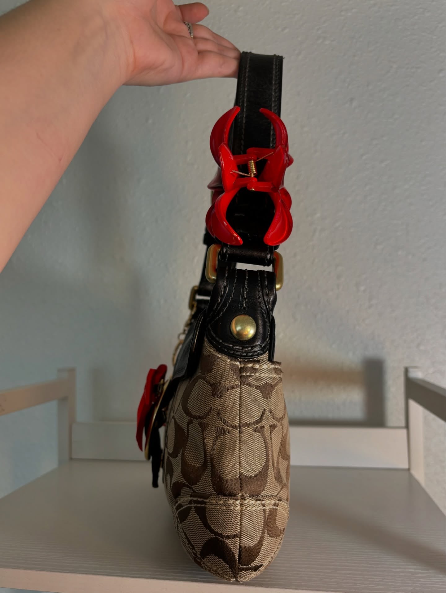 COACH BAG