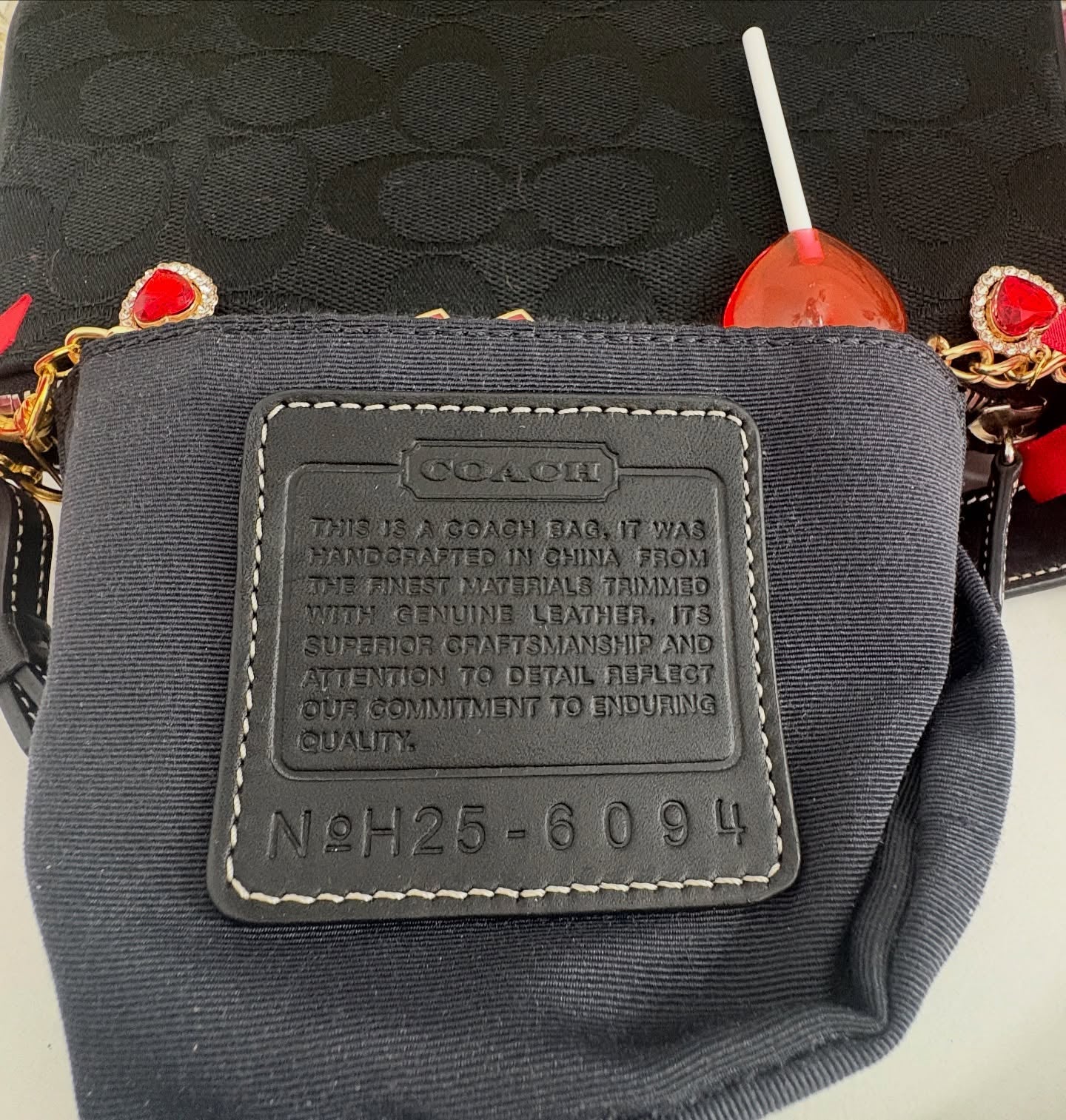 COACH BAG
